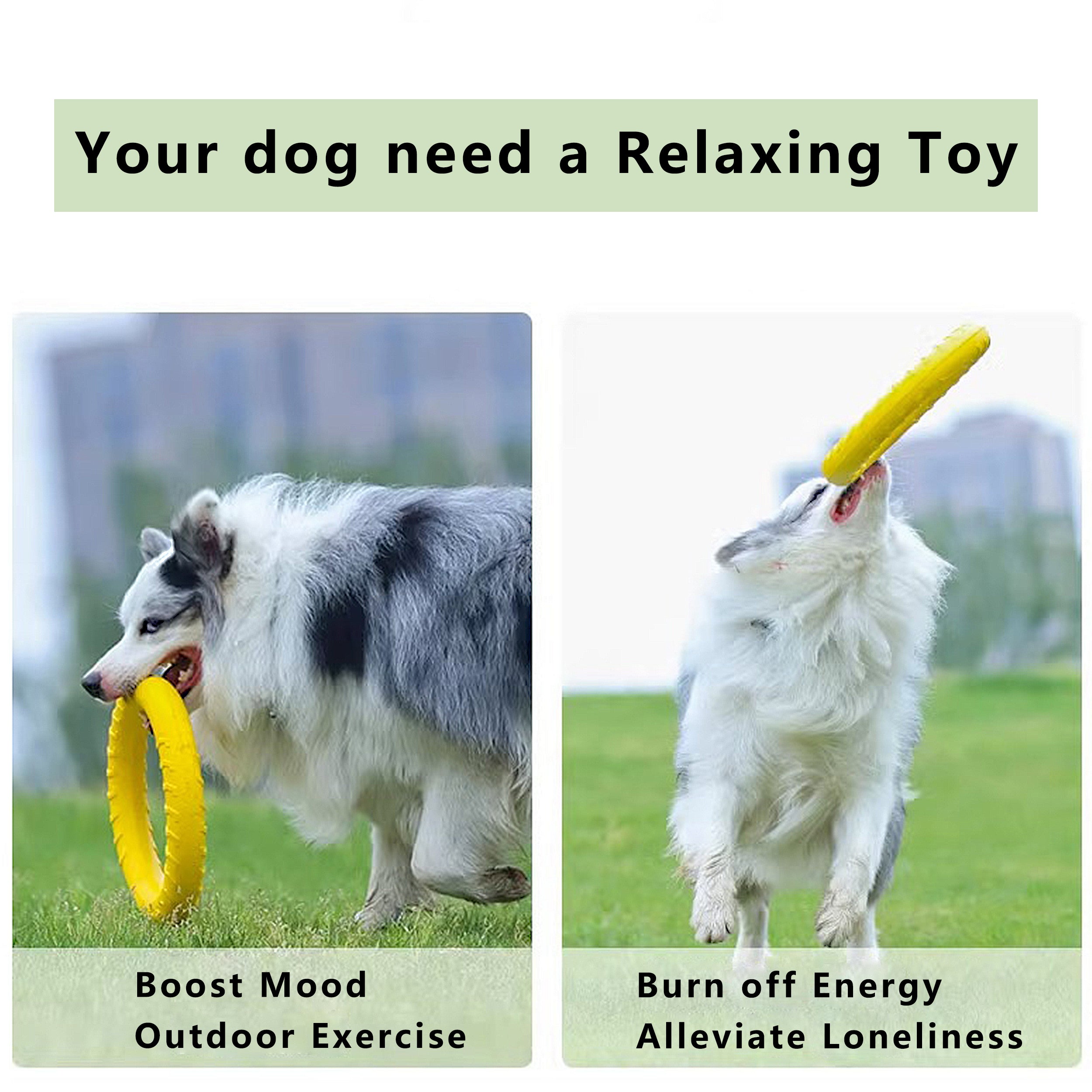 Anna-Kaci Dog Flying Disc, Ring Puller for Outdoor Play, Floating Training & Fetch Toy for Throwing Catching & Chewers