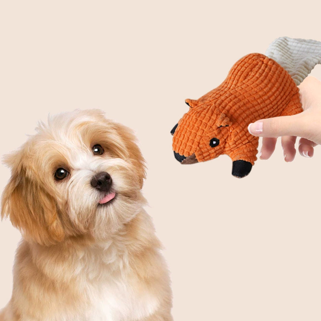 Anna-Kaci Interactive Dog Plush Squirrel Toys, Squeaky Pet Chew Toys for Small Medium Large Dogs & Puppies