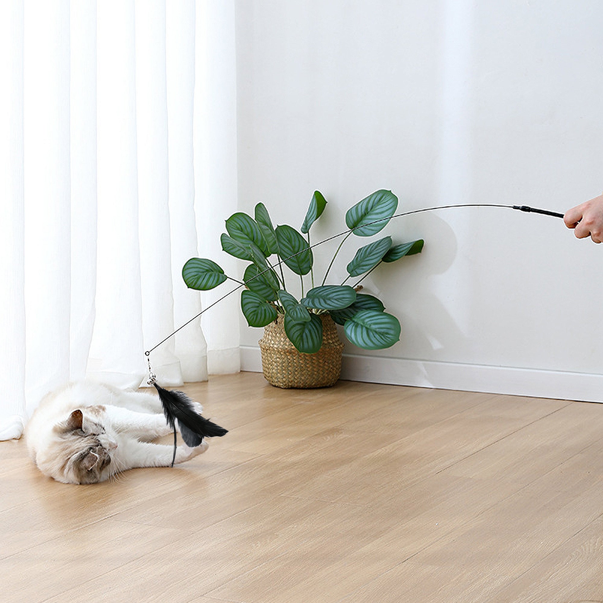 Anna-Kaci Cat Feather Teaser Toy with Suction Cup Base - Interactive Wand Toy with Bell for Indoor Cats & Kittens