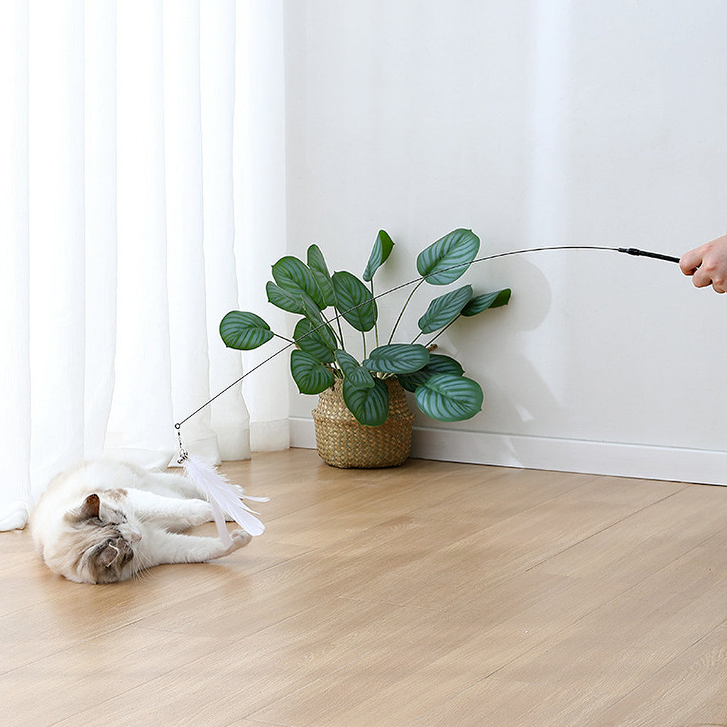 Anna-Kaci Cat Feather Teaser Toy with Suction Cup Base - Interactive Wand Toy with Bell for Indoor Cats & Kittens