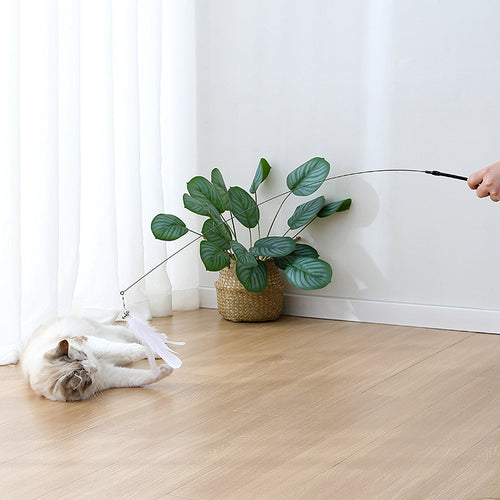 Anna-Kaci Cat Feather Teaser Toy with Suction Cup Base - Interactive Wand Toy with Bell for Indoor Cats & Kittens