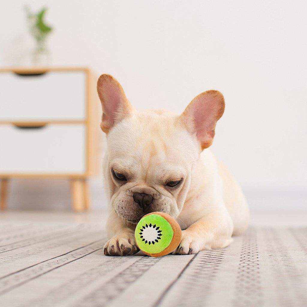 Anna-Kaci Interactive Dog Plush Squeaky Chew Toys for Pet Training, Puppy Teeth Cleaning