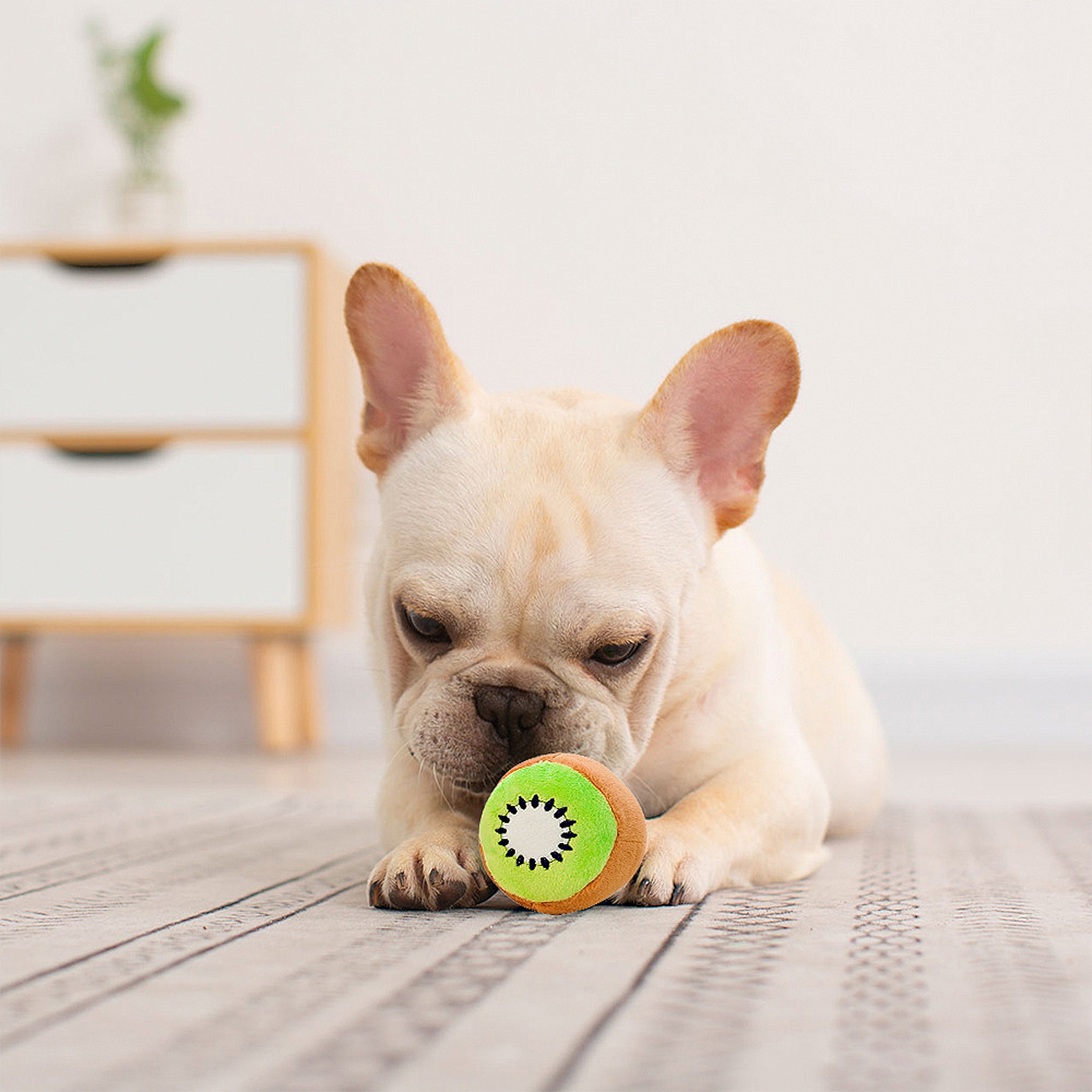 Anna-Kaci Interactive Dog Plush Squeaky Chew Toys for Pet Training, Puppy Teeth Cleaning