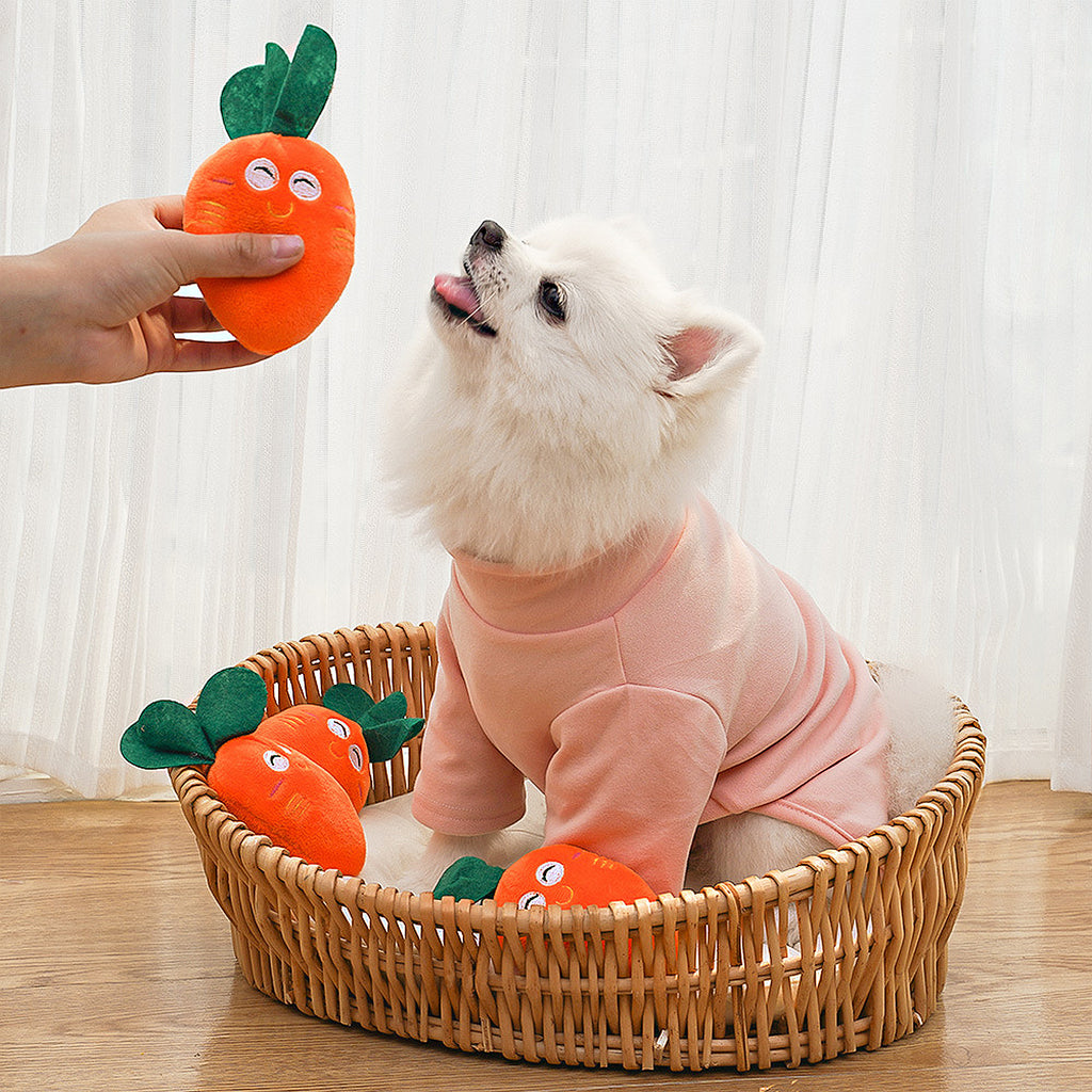 Anna-Kaci Interactive Dog Plush Squeaky Chew Toys for Pet Training, Puppy Teeth Cleaning, Carrot Shape