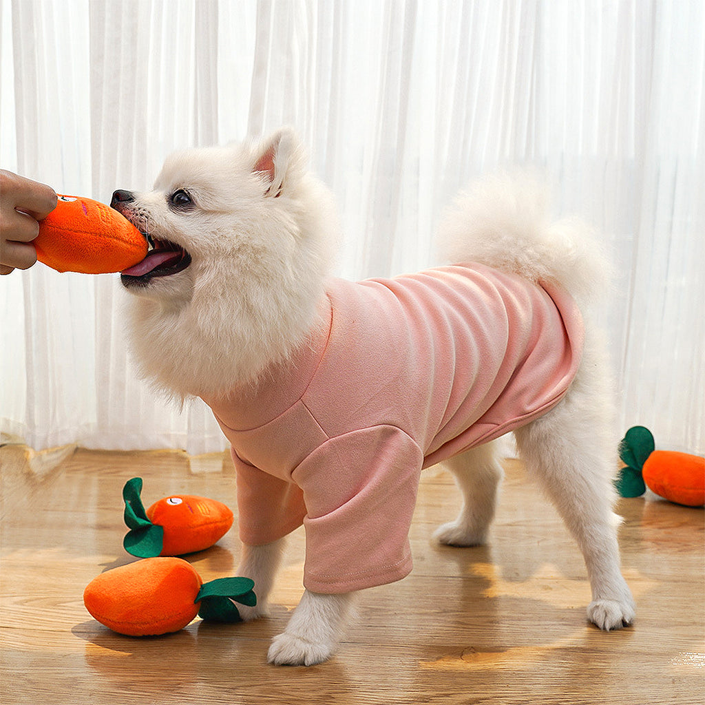 Anna-Kaci Interactive Dog Plush Squeaky Chew Toys for Pet Training, Puppy Teeth Cleaning, Carrot Shape