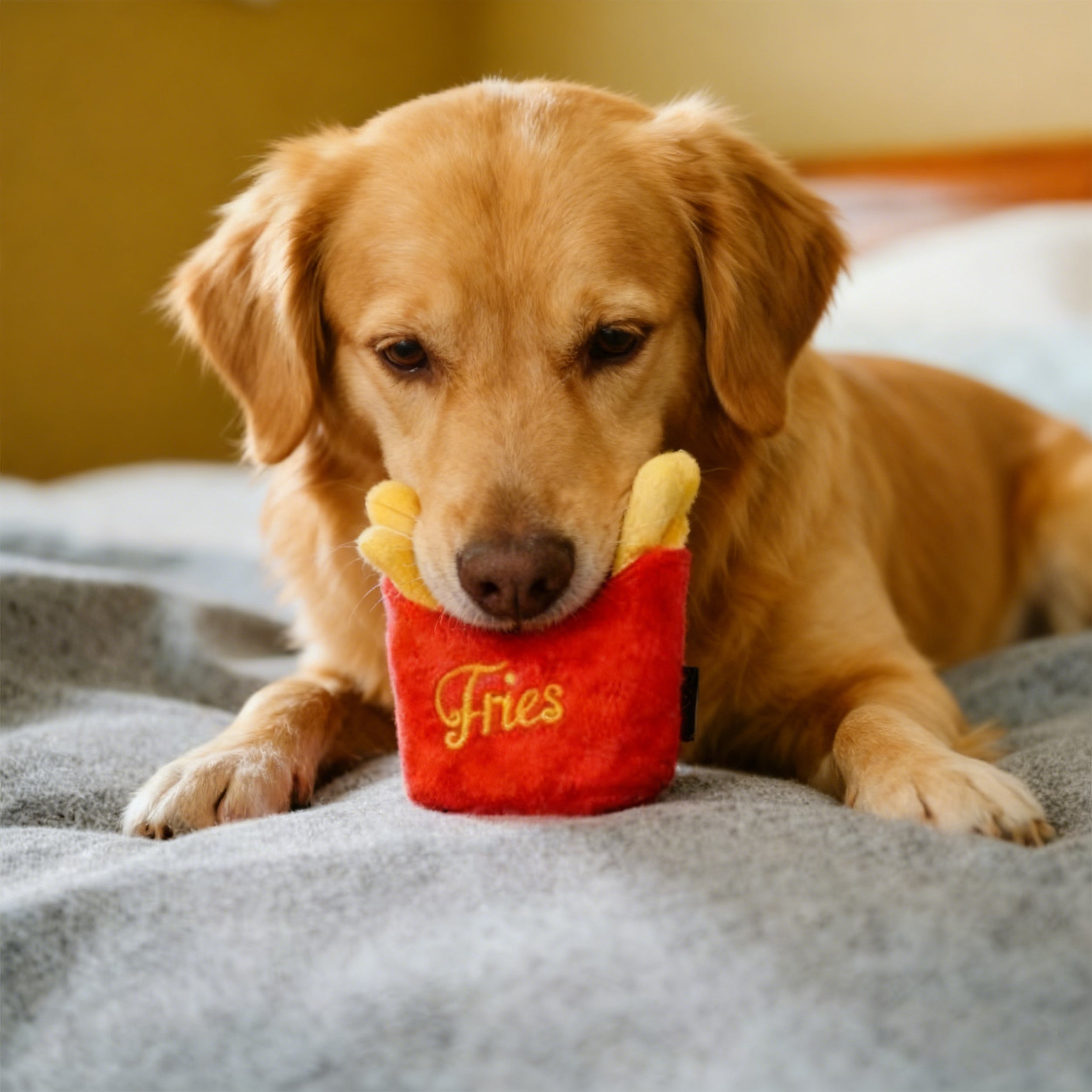Anna-Kaci Interactive Dog Simulation Fast Food Themed Plush Squeaky Toys for Pet Training, Puppy Chewing