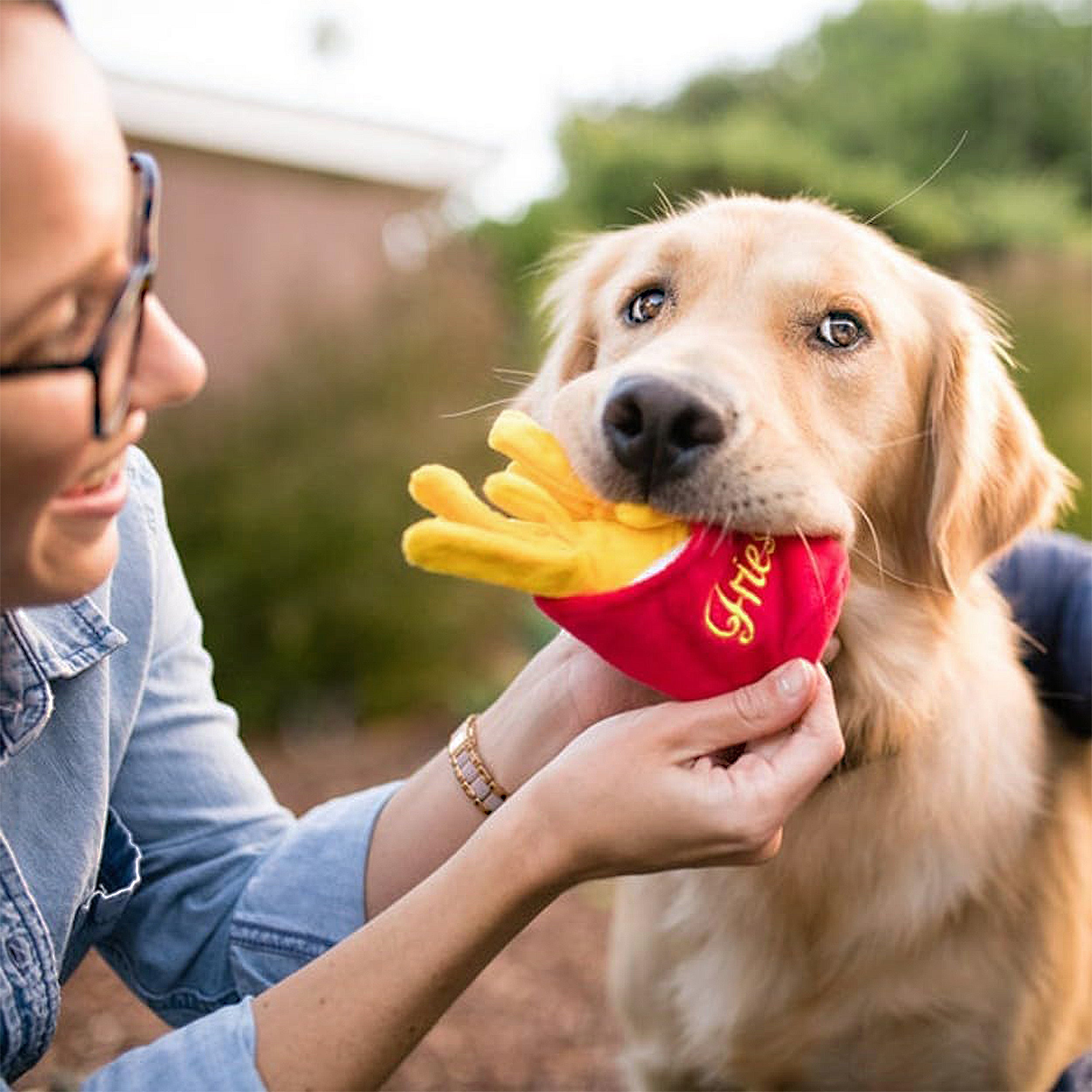 Anna-Kaci Interactive Dog Simulation Fast Food Themed Plush Squeaky Toys for Pet Training, Puppy Chewing