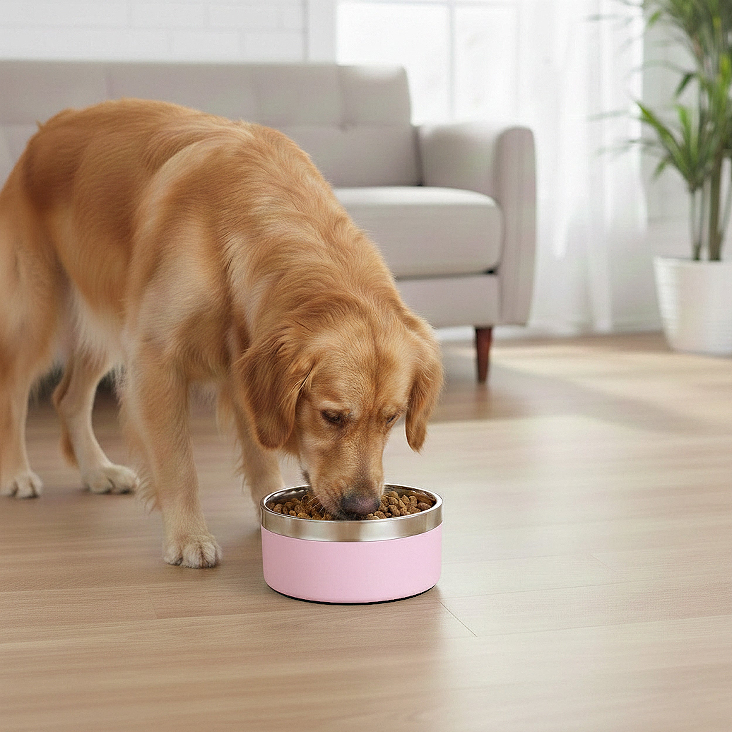 Anna-Kaci Stainless Steel Dog Bowl with Non-Slip Base and Removable Inner Bowl
