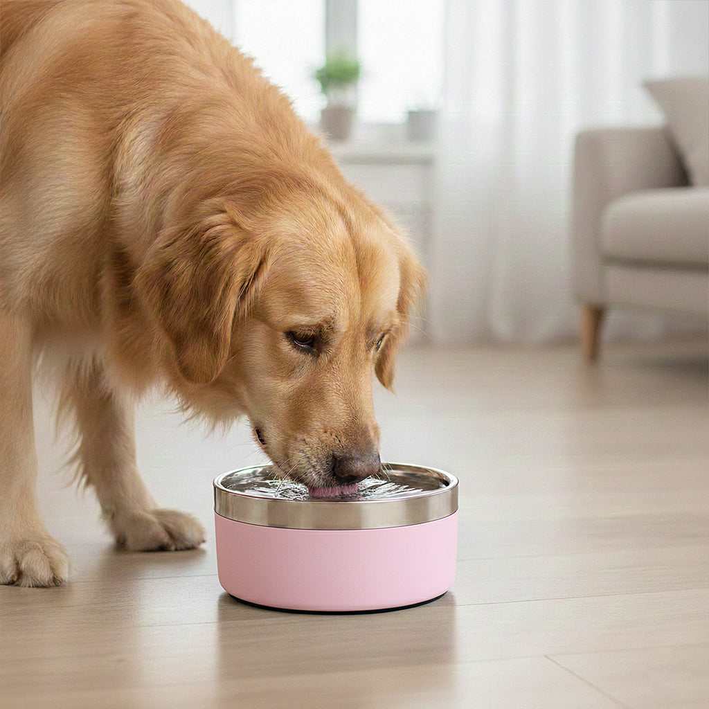 Anna-Kaci Stainless Steel Dog Bowl with Non-Slip Base and Removable Inner Bowl