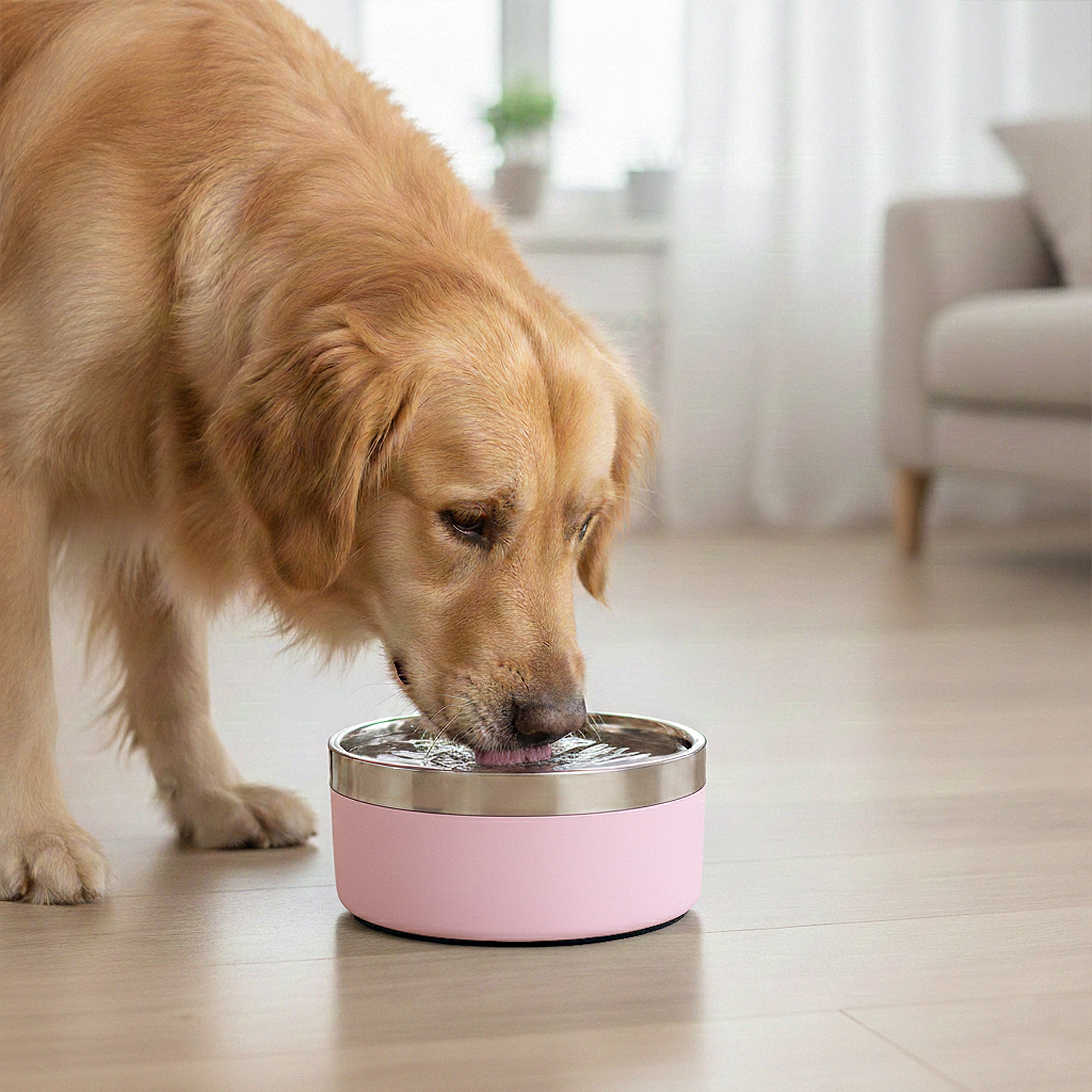 Anna-Kaci Stainless Steel Dog Bowl with Non-Slip Base and Removable Inner Bowl