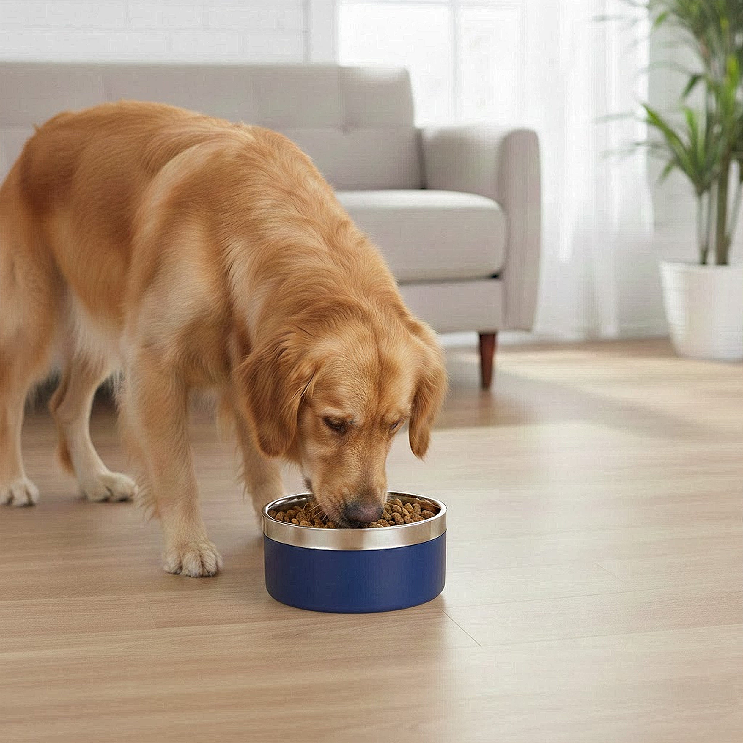 Anna-Kaci Stainless Steel Dog Bowl with Non-Slip Base and Removable Inner Bowl