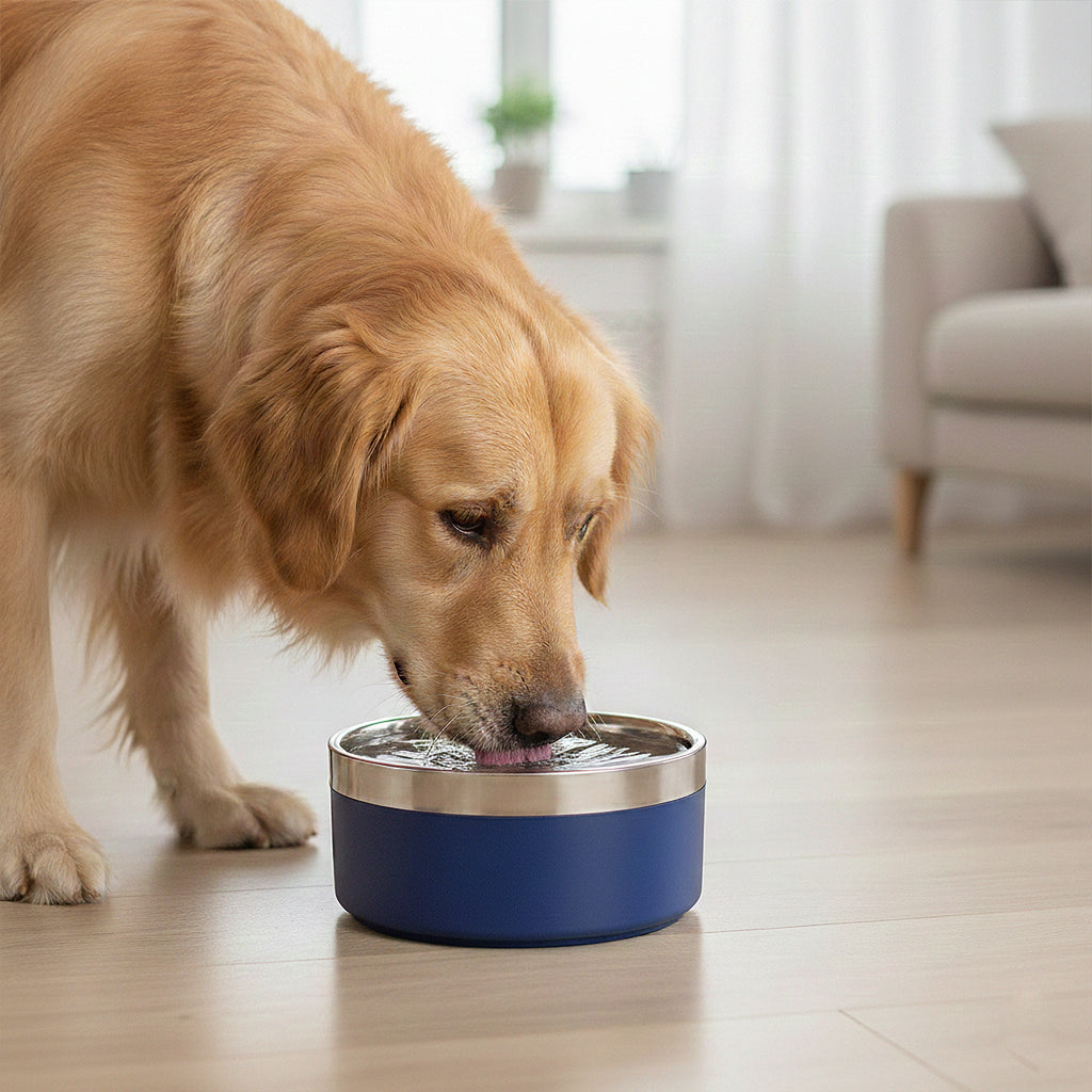 Anna-Kaci Stainless Steel Dog Bowl with Non-Slip Base and Removable Inner Bowl