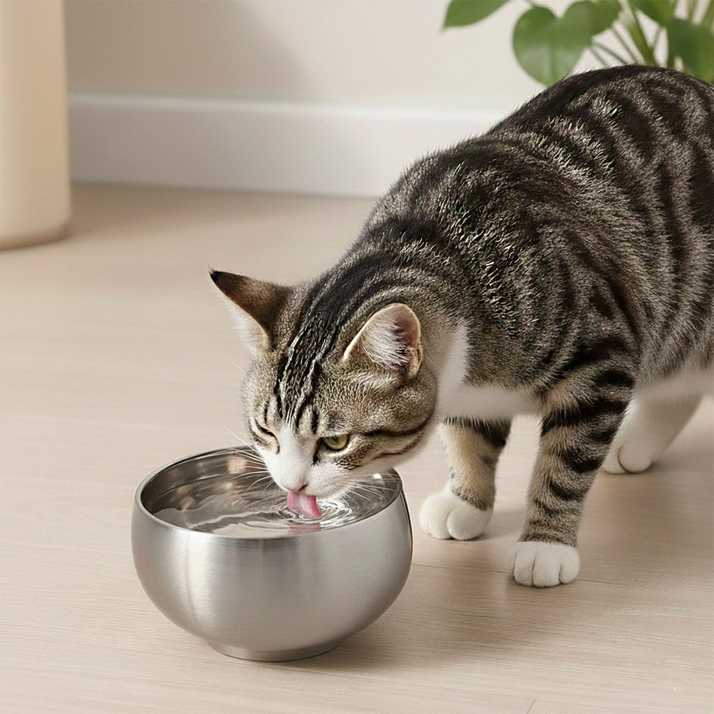 Anna-Kaci Stainless Steel Cat Bowl with Smooth Interior for Food and Water