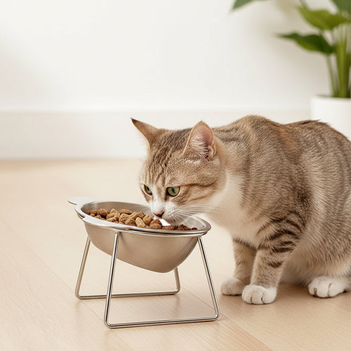 Anna-Kaci Elevated Stainless Steel Cat Bowl with 15 Degree Tilt and Stable Stand