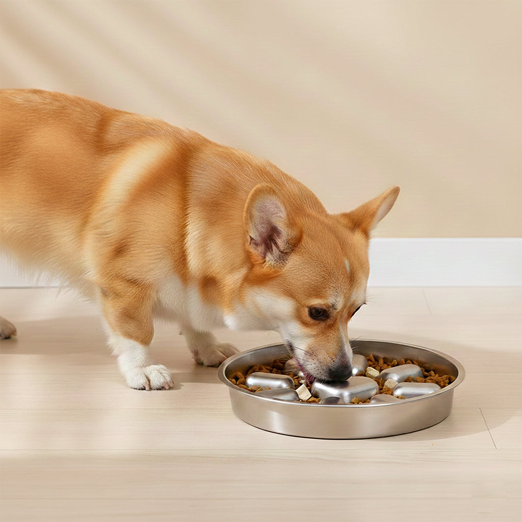 Anna-Kaci Stainless Steel Slow Feeder Dog Bowl with Anti-Gulp Design, Wide Rim, Easy Clean