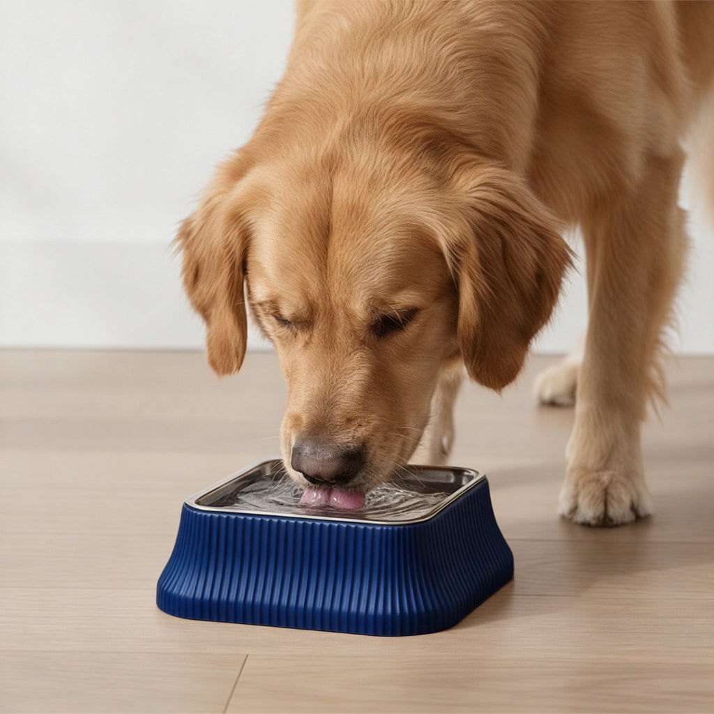 Anna-Kaci Stainless Steel Dog Bowl with Non-Slip Base and Removable Inner Bowl