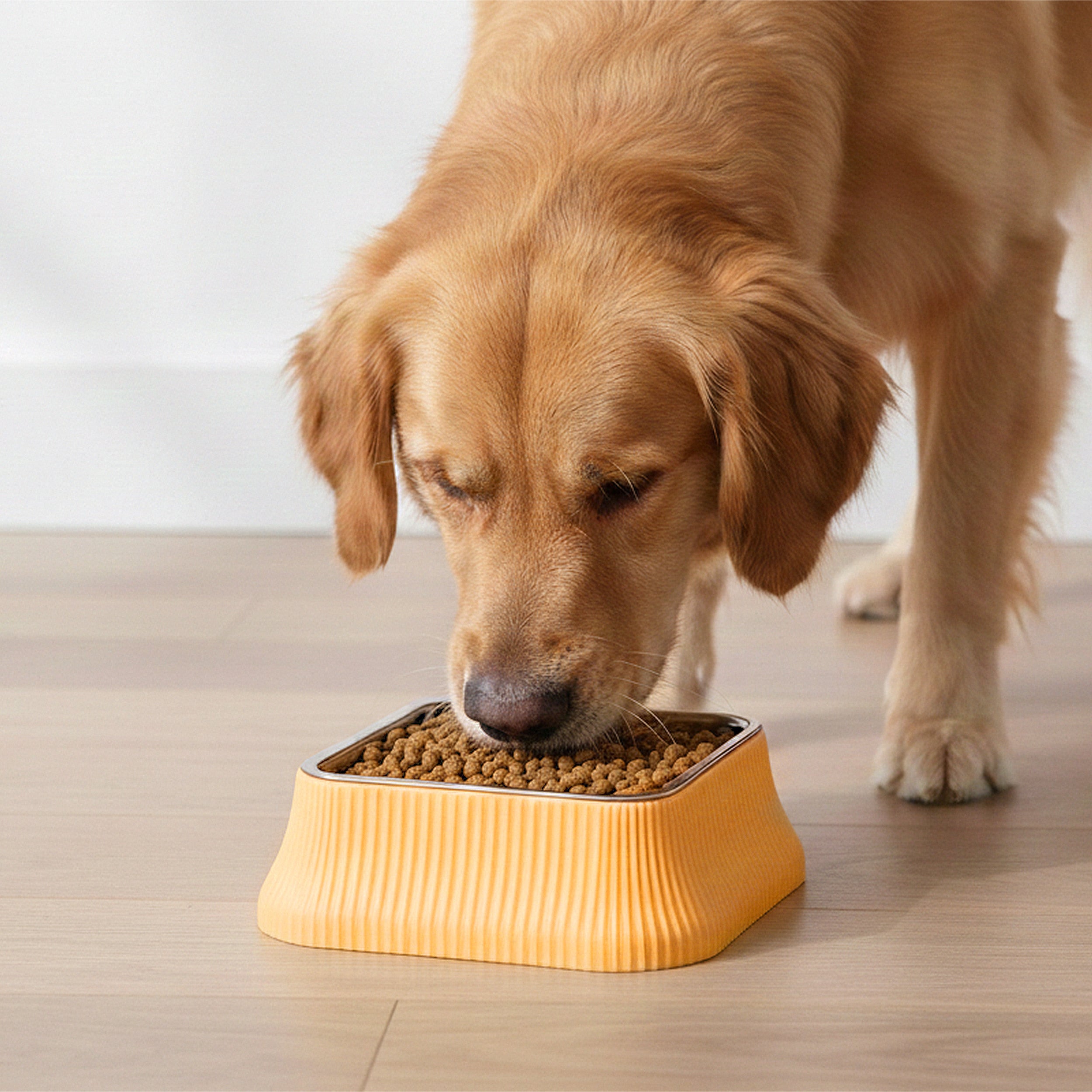 Anna-Kaci Stainless Steel Dog Bowl with Non-Slip Base and Removable Inner Bowl