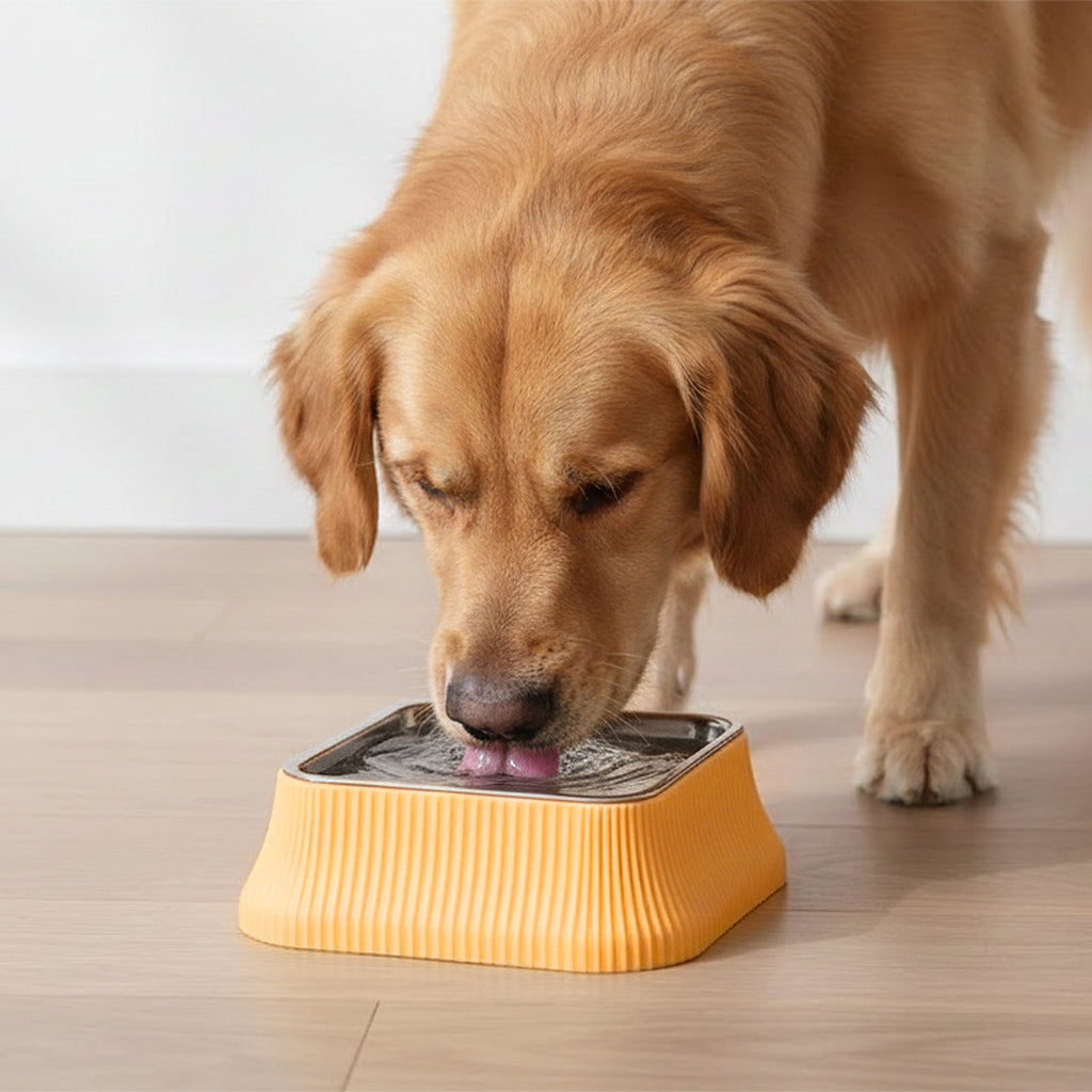 Anna-Kaci Stainless Steel Dog Bowl with Non-Slip Base and Removable Inner Bowl