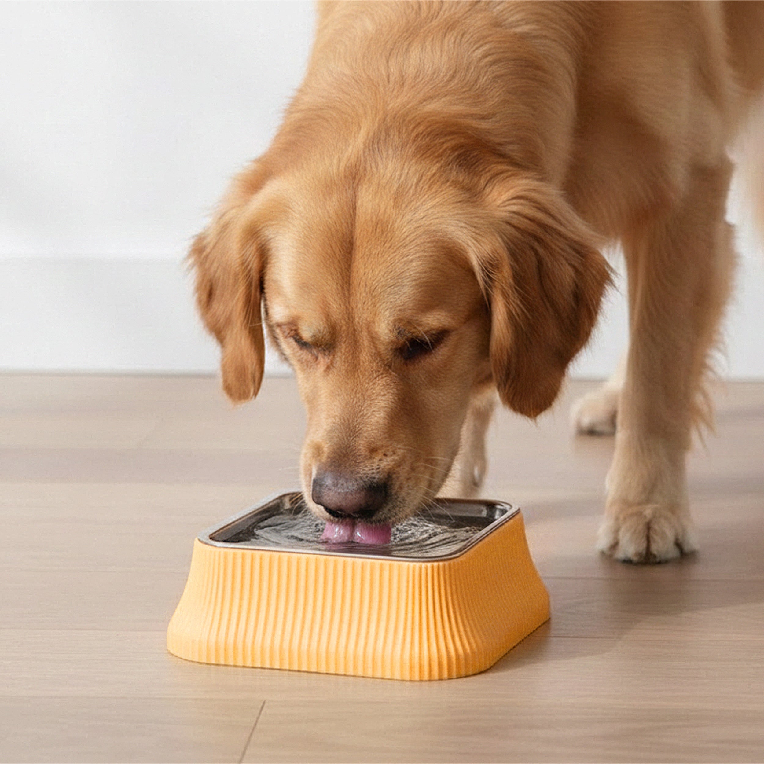 Anna-Kaci Stainless Steel Dog Bowl with Non-Slip Base and Removable Inner Bowl
