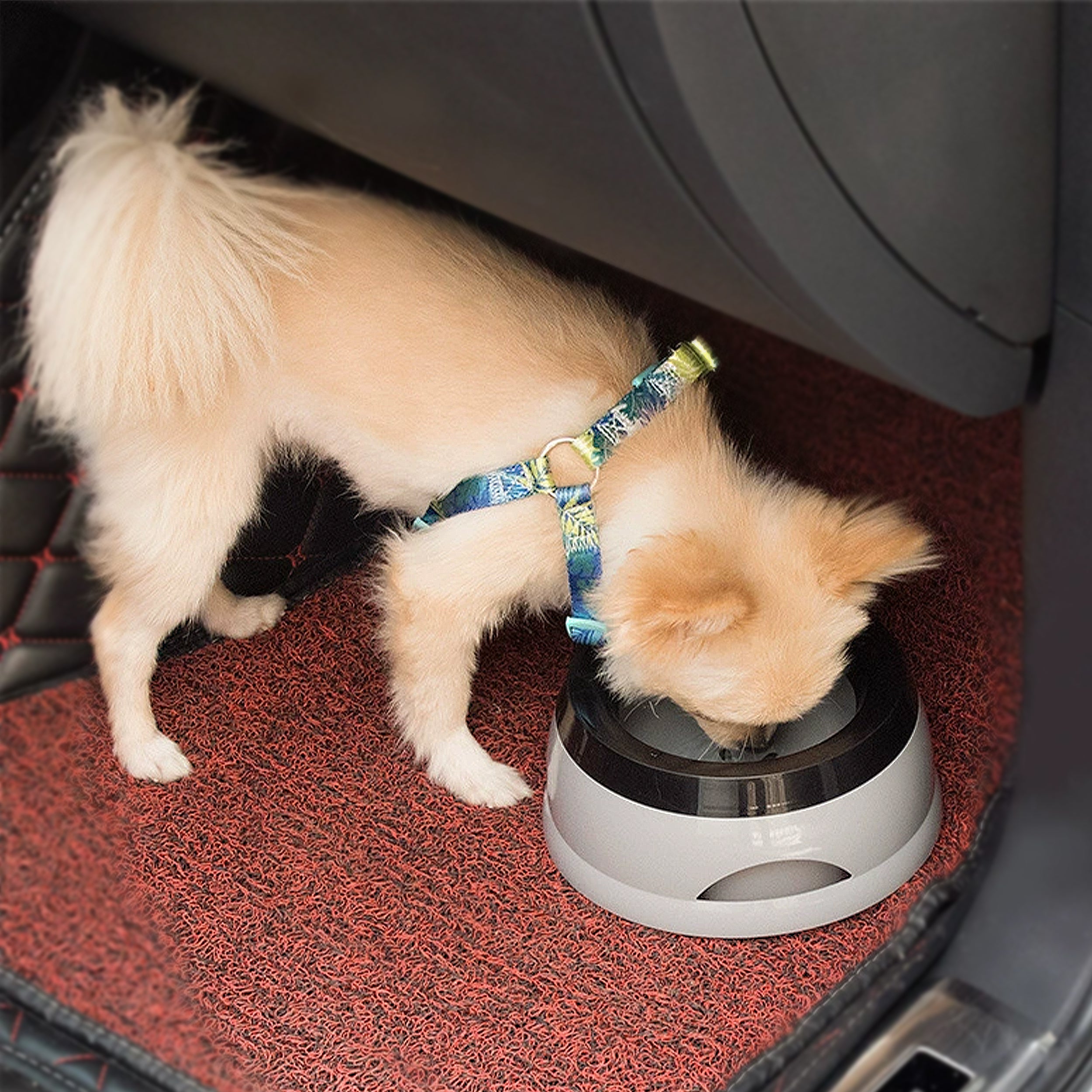 Anna-Kaci Non Spill Dog Water Bowl with Floating Disk 25 oz Car Travel Pet Water Bowl