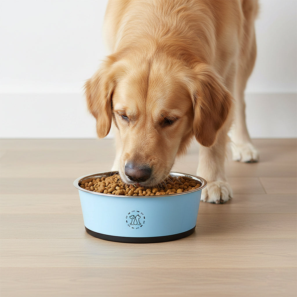 Anna-Kaci Stainless Steel Dog Bowls with Non Slip Base Easy Clean Design