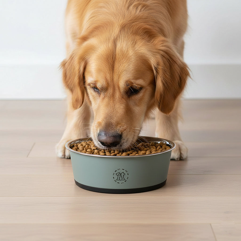 Anna-Kaci Stainless Steel Dog Bowls with Non Slip Base Easy Clean Design