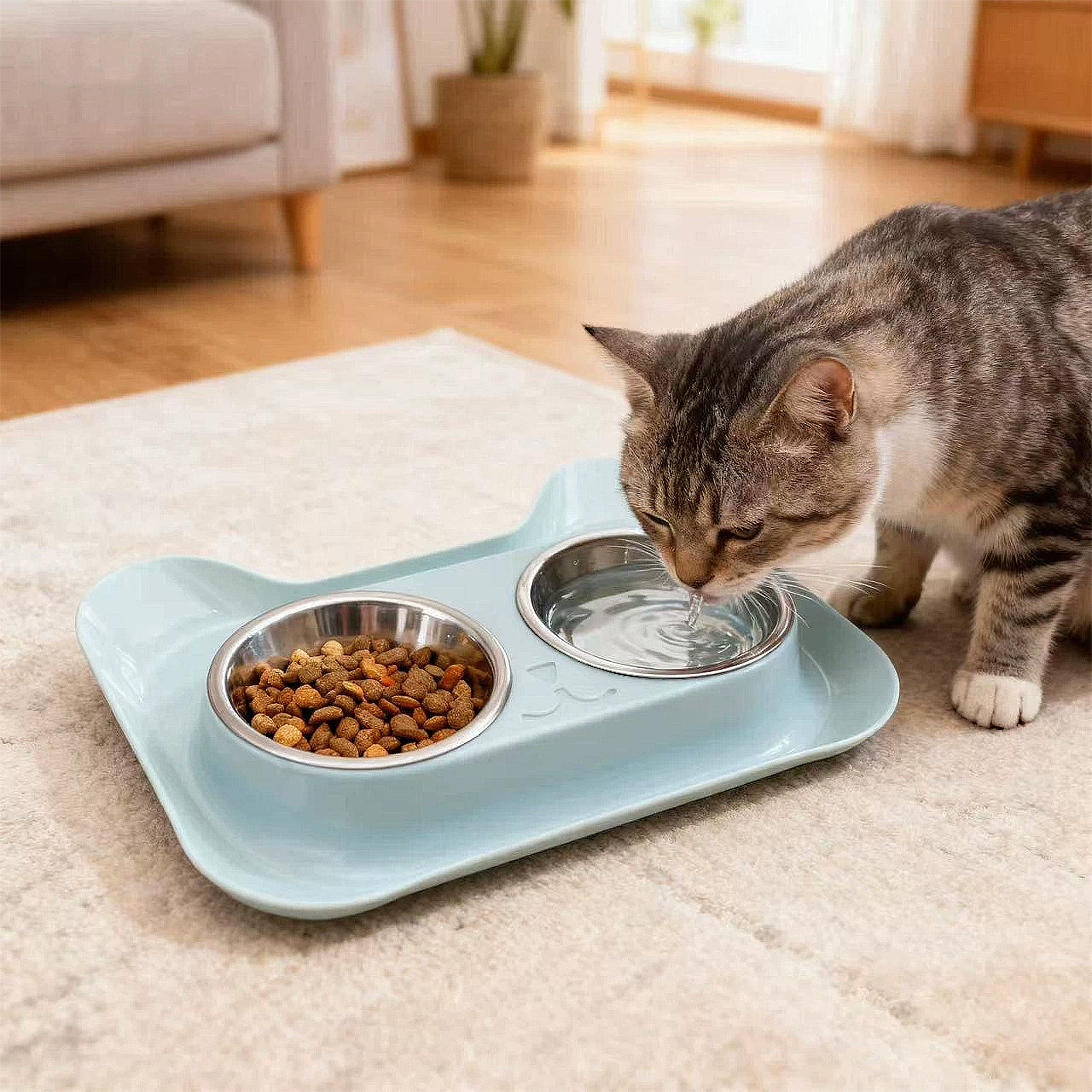 Anna-Kaci Stainless Steel Double Cat Bowl with Non-Slip Base for Food and Water