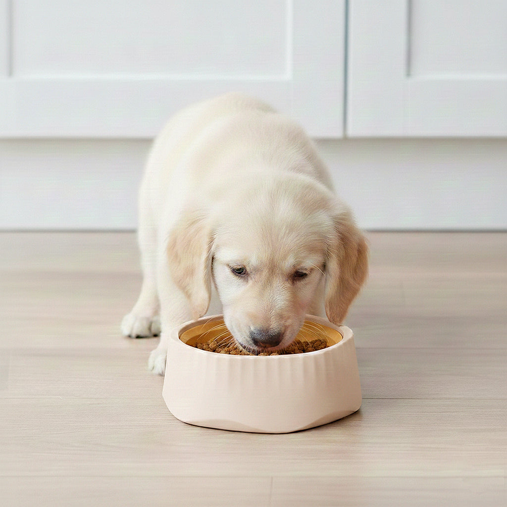 Anna-Kaci Pet Slow Feeder Bowl with Removable Insert, Non-Slip Base, Convertible Design