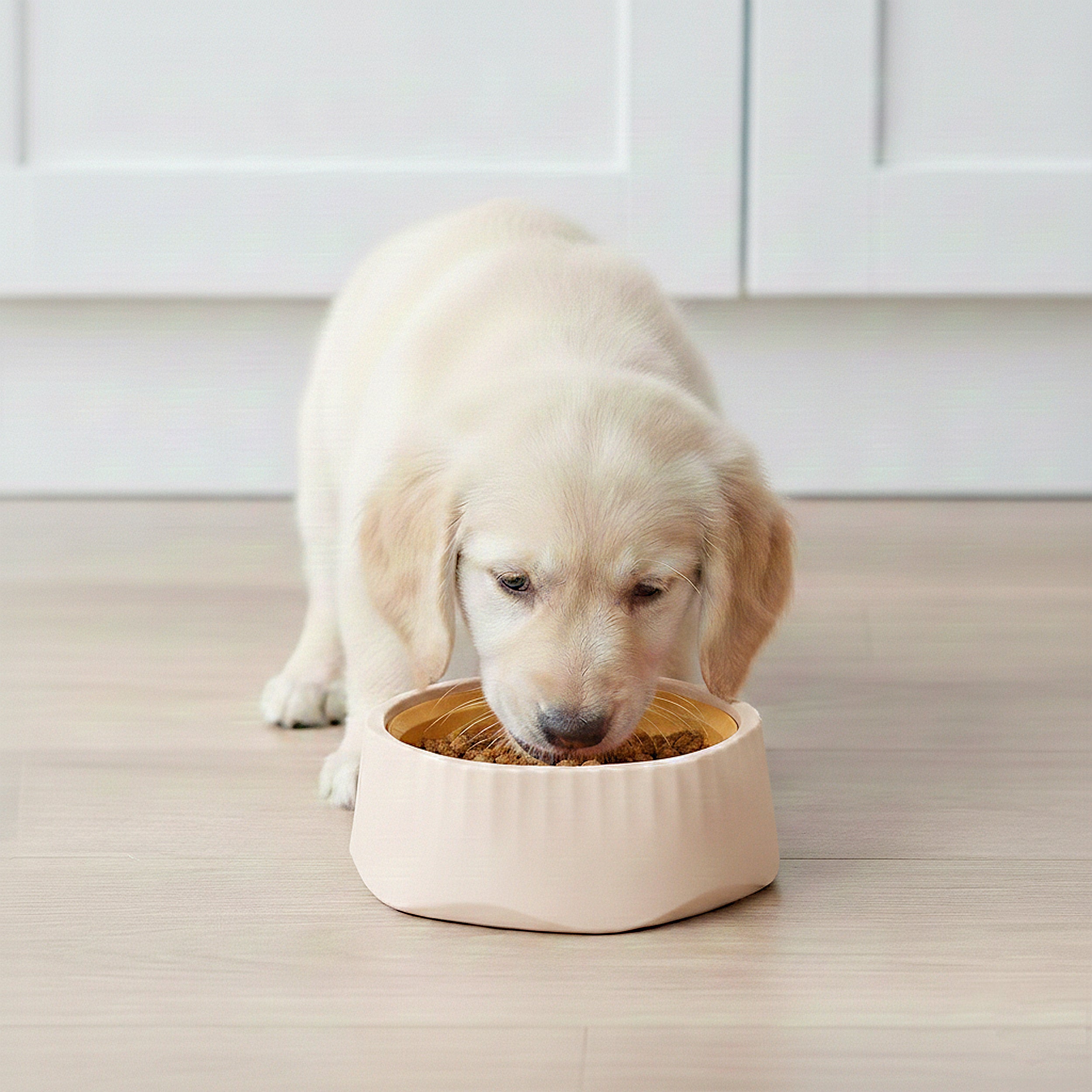 Anna-Kaci Pet Slow Feeder Bowl with Removable Insert, Non-Slip Base, Convertible Design