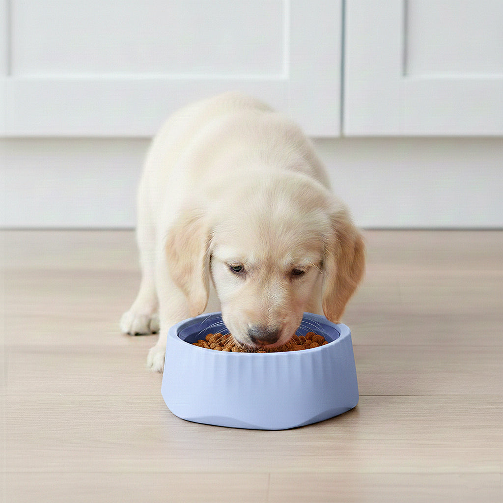 Anna-Kaci Pet Slow Feeder Bowl with Removable Insert, Non-Slip Base, Convertible Design