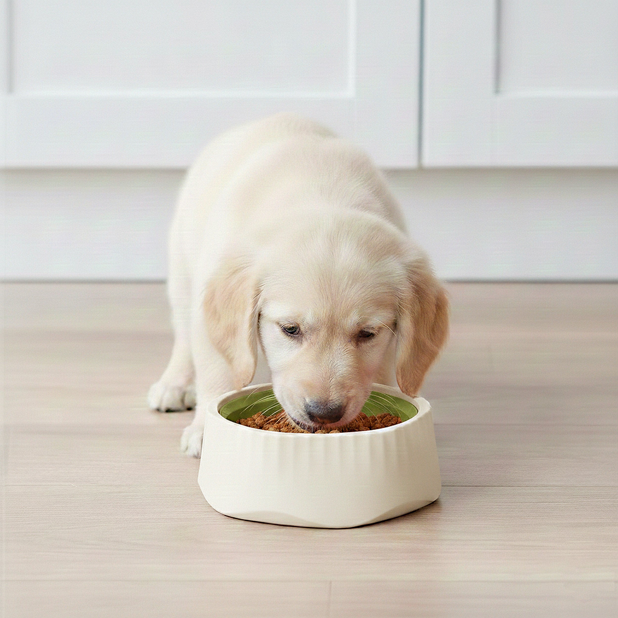 Anna-Kaci Pet Slow Feeder Bowl with Removable Insert, Non-Slip Base, Convertible Design