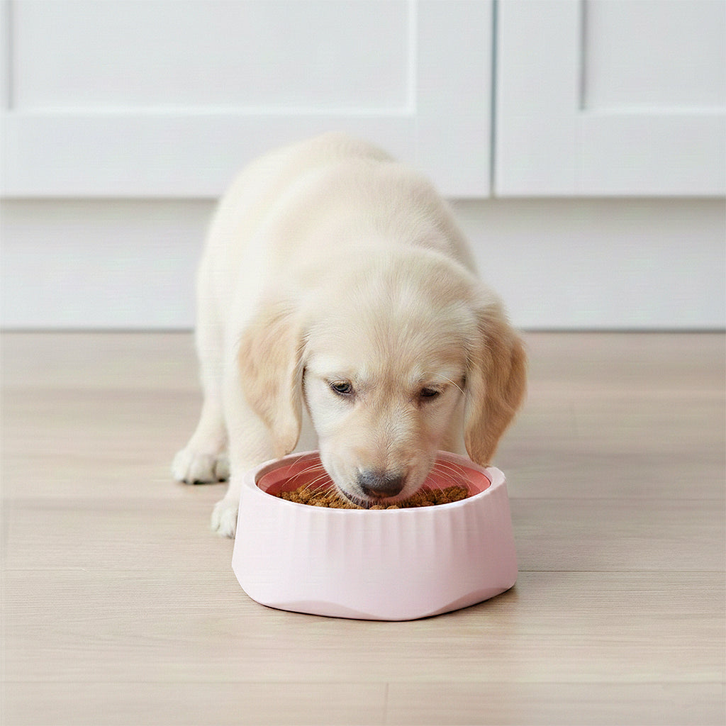 Anna-Kaci Pet Slow Feeder Bowl with Removable Insert, Non-Slip Base, Convertible Design