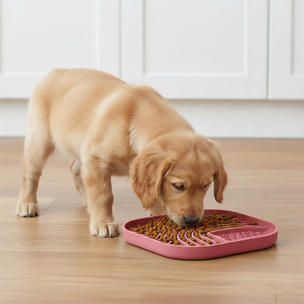 Anna-Kaci Pet Slow Feeder Licking Mat with Suction Base Silicone Feeding Pad for Dogs and Cats