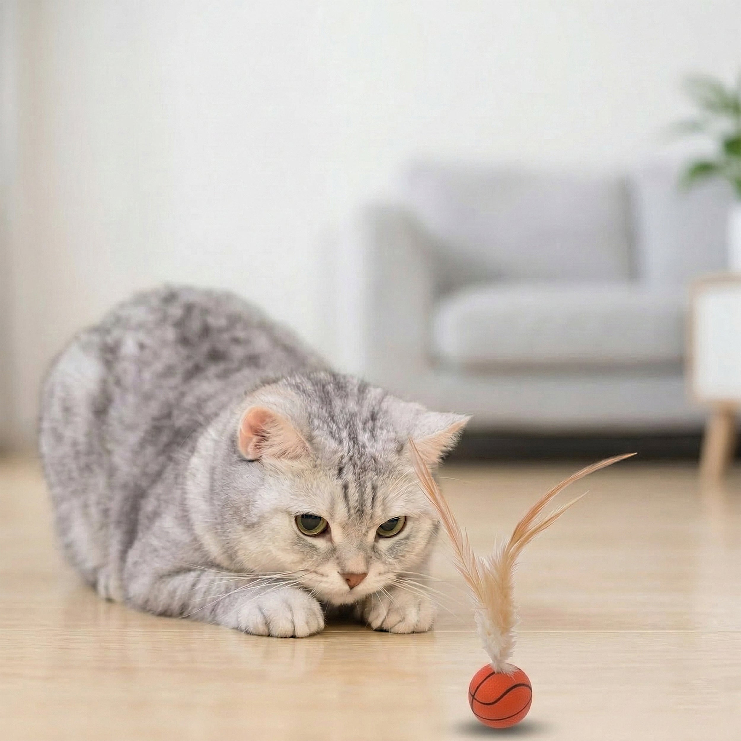 Anna-Kaci Interactive Feather Cat Toy Balls with Natural Feathers Bouncy Cat Toys for Indoor Cats 3 Pack