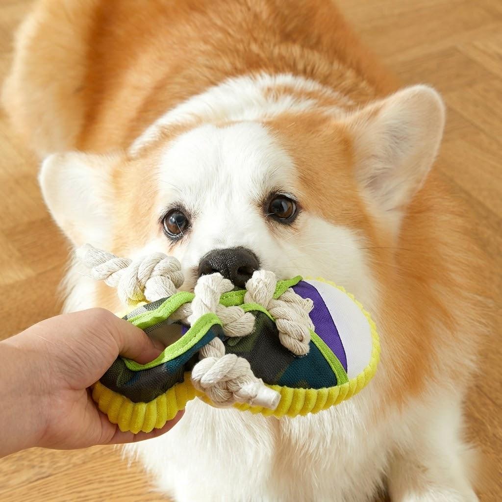 Anna-Kaci 3 Pack Dog Rope Chew Toys with Squeaker Slipper Shape Durable Teeth Cleaning Tug Toys