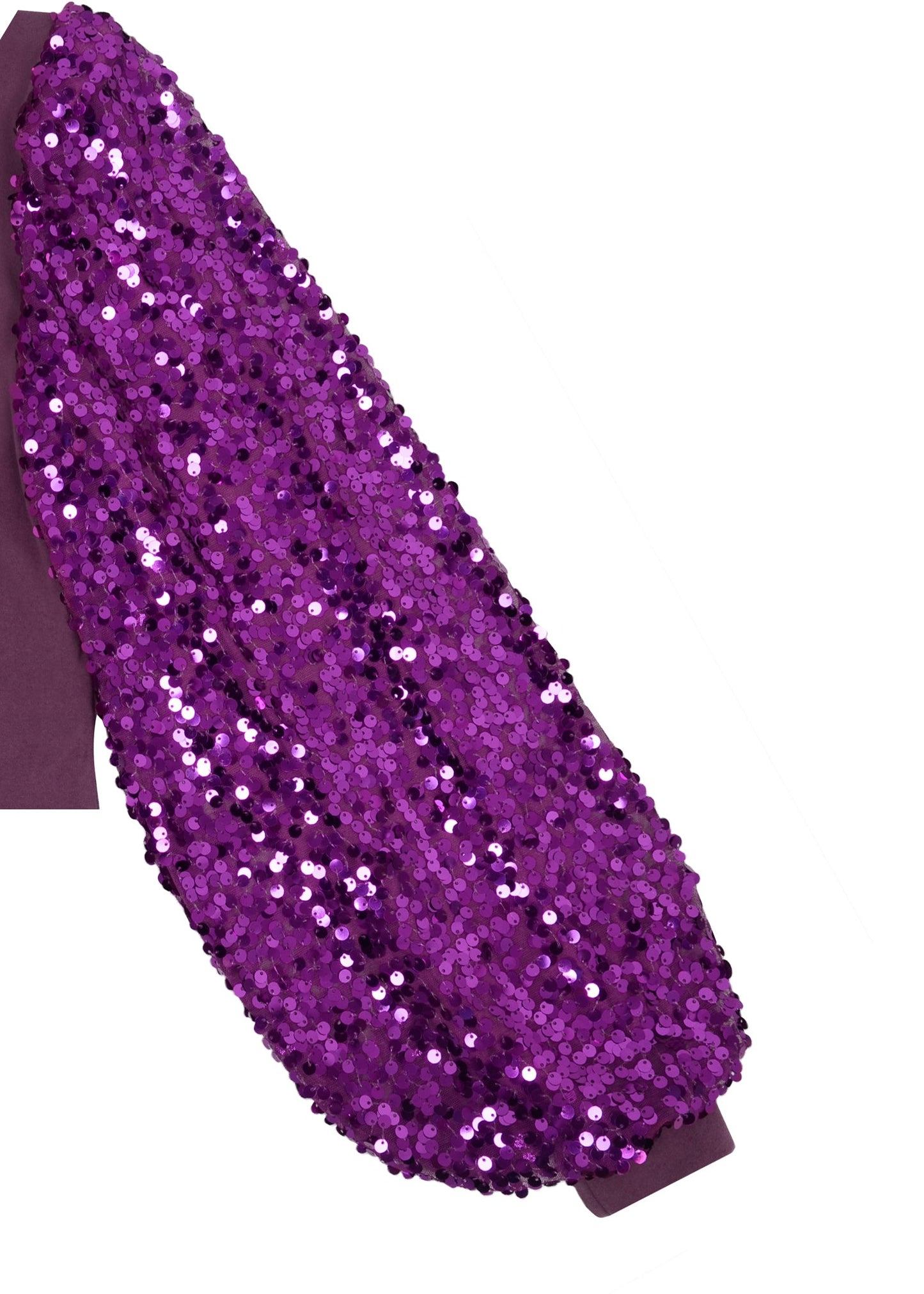Sequin Puffed Long Sleeve Mock Neck Pullover