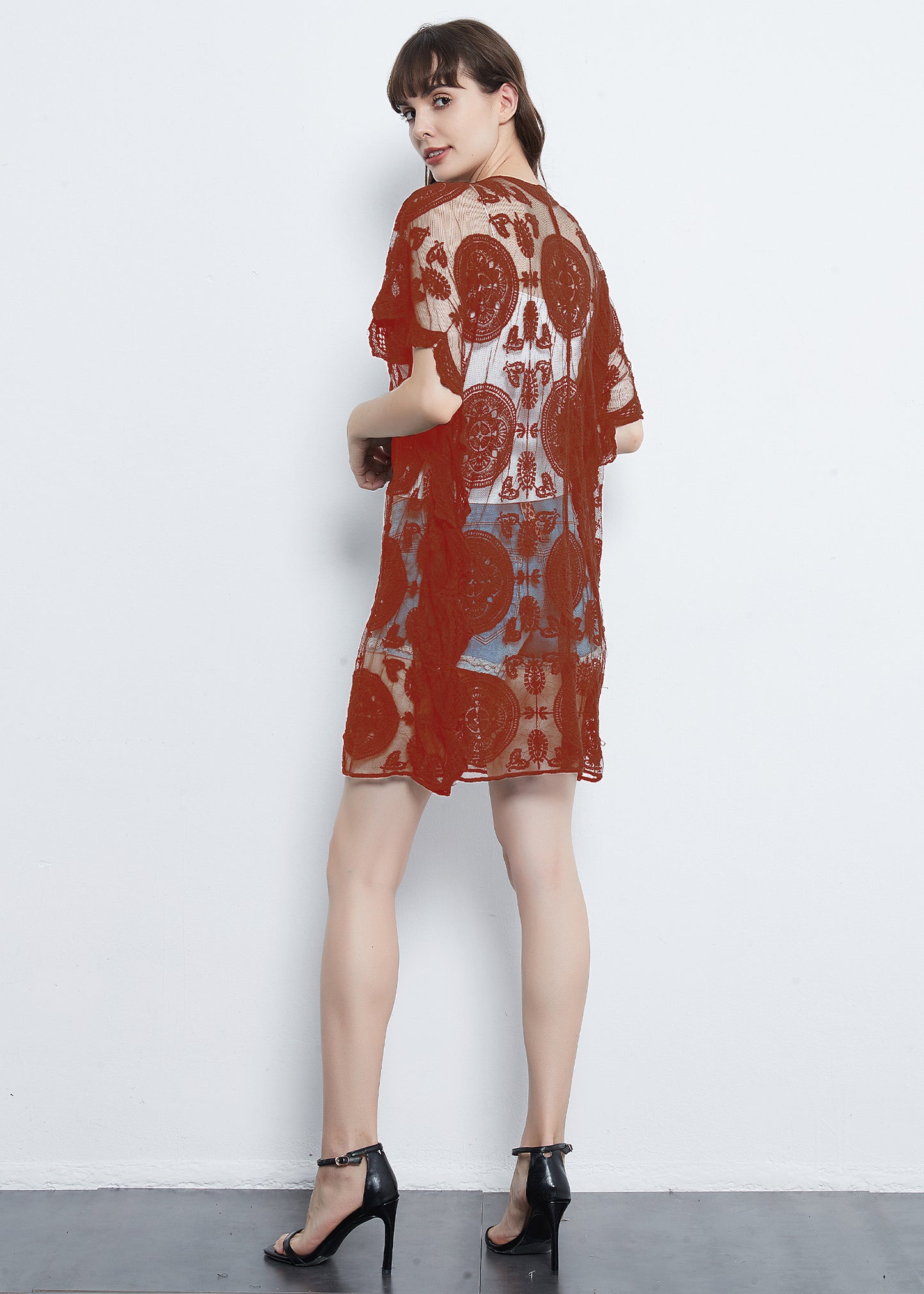 Embroidered Mesh Sheer Midi Dress