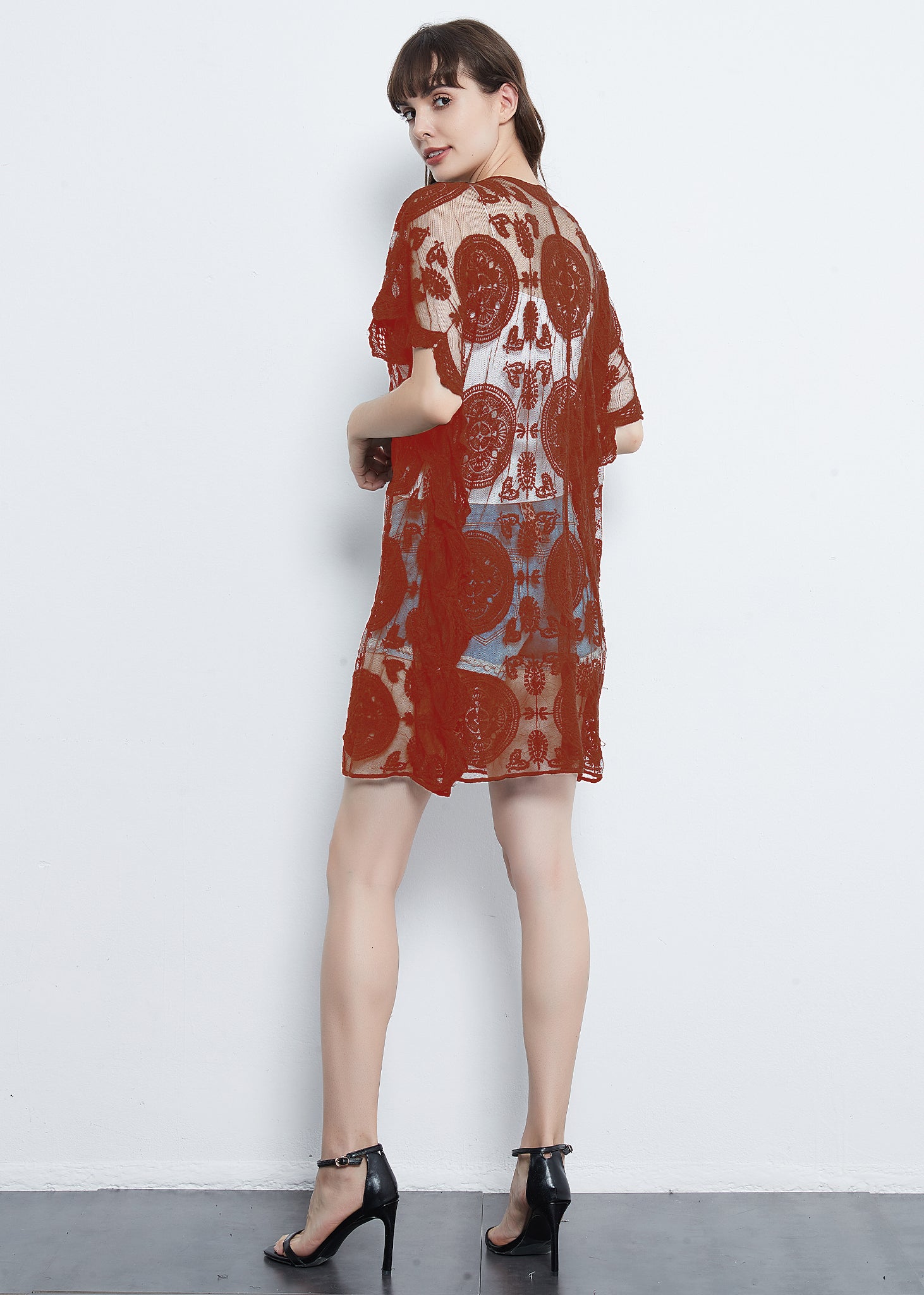 Embroidered Mesh Sheer Midi Dress