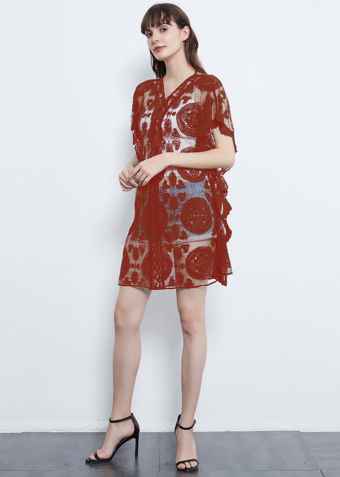 Embroidered Mesh Sheer Midi Dress