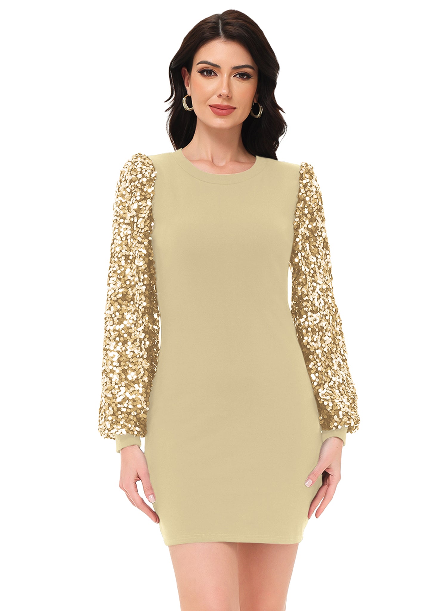 Anna-Kaci Women's Confetti Sequin Balloon Long Sleeve Round Neck Pullover Dress
