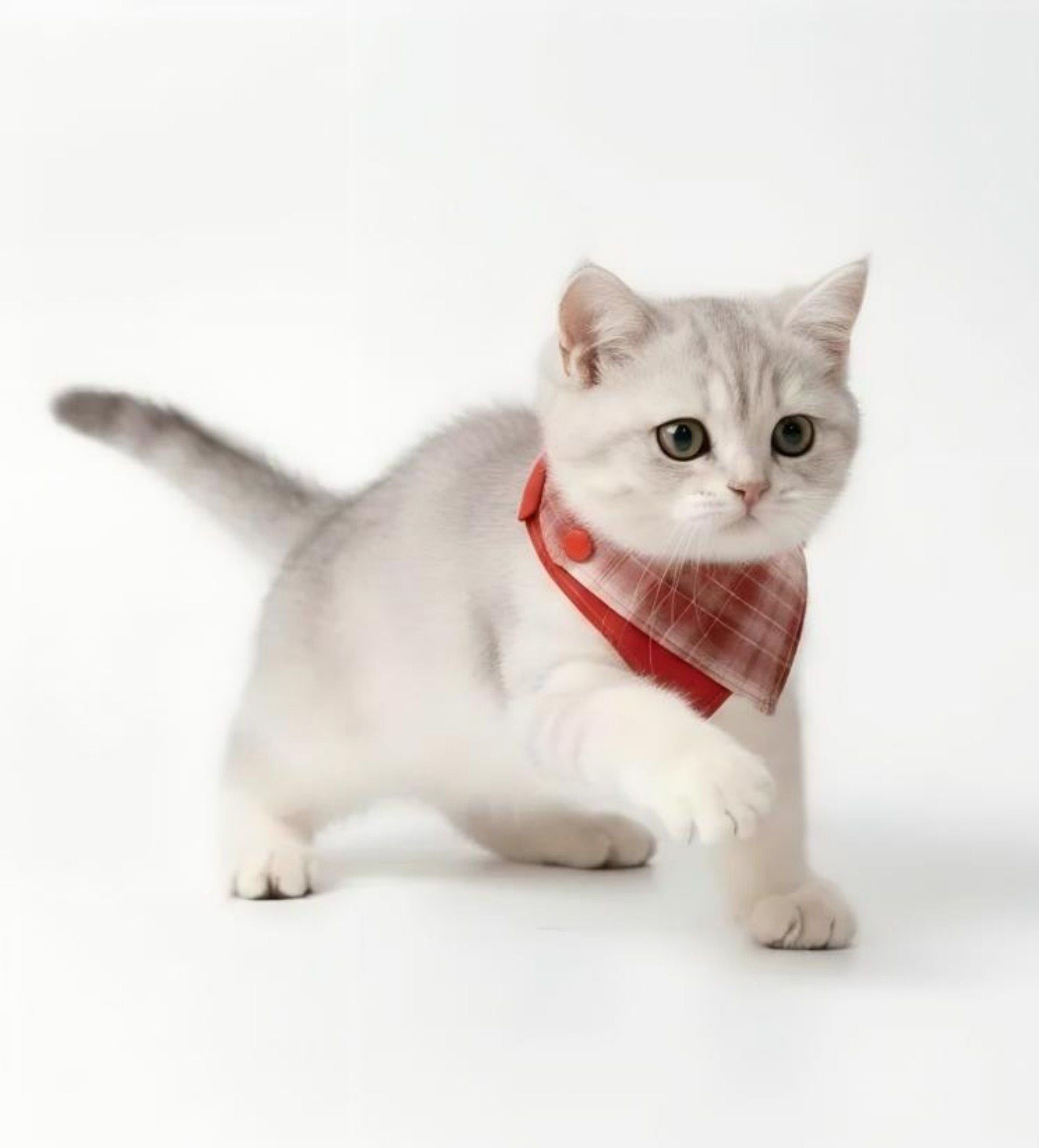 Pet Bandana Collar Soft Adjustable Double Layer Plaid Scarf with Button Closure for Cats and Dogs