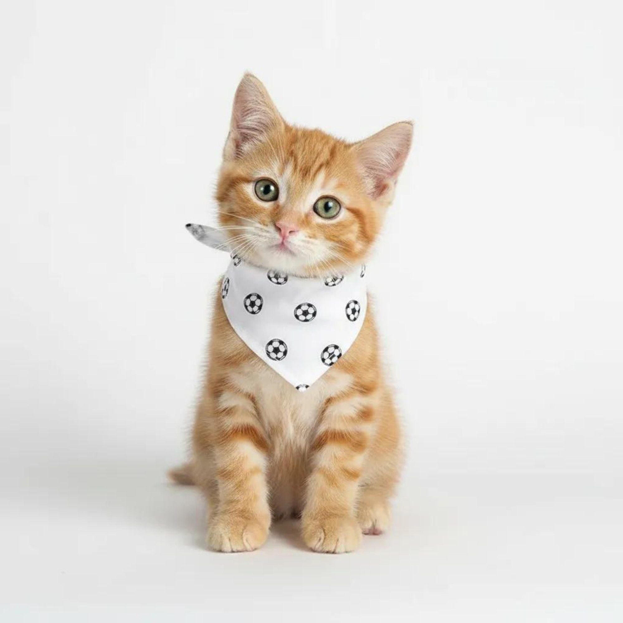 Pet Bandana Scarf Duck Pattern Decorative Neck Accessory for Dogs and Cats