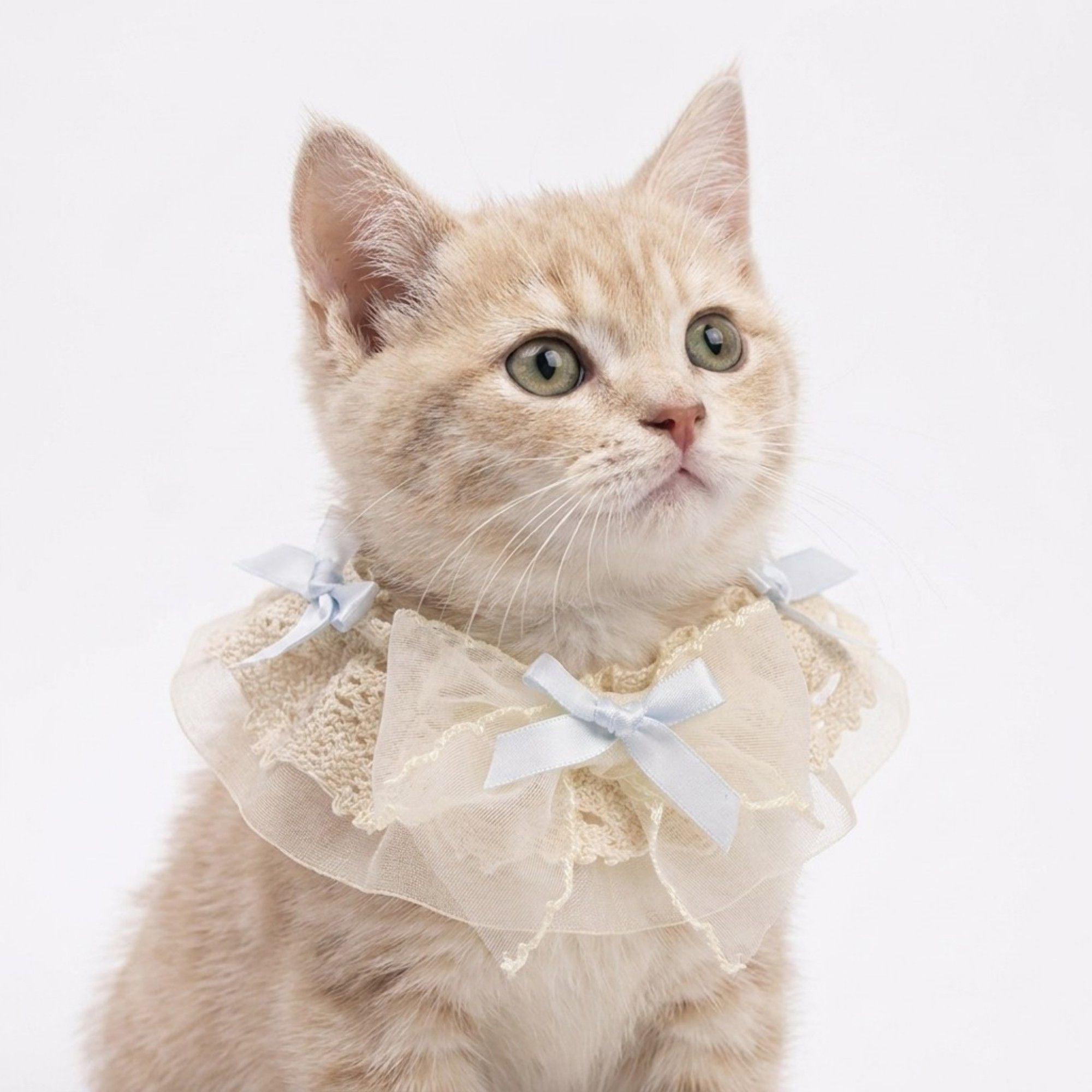 Pet Lace Collar with Bow Accent Decorative Neck Accessory for Dogs and Cats