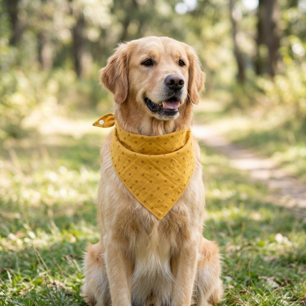 Pet Bandana Collar Soft Adjustable Classic Print Scarf with Tie Closure Everyday Neckwear