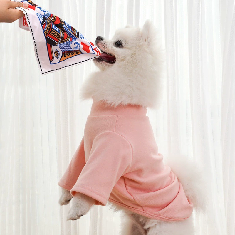 Anna-Kaci Interactive Dog Squeaky Chew Toys for Boredom, Poker Cards Design, Fun Pet Toys