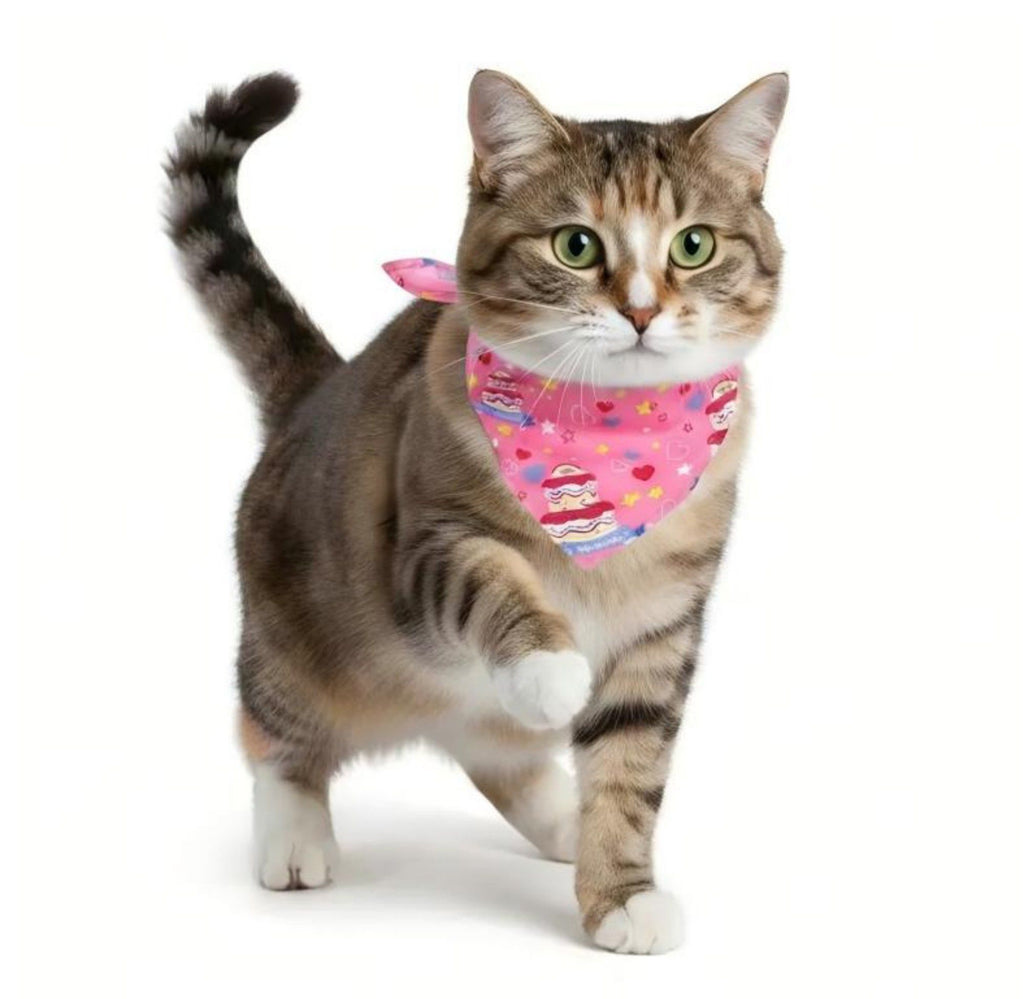 Pet Bandana Collar Soft Adjustable Birthday Print Scarf with Heart Pattern Tie Closure Neckwear