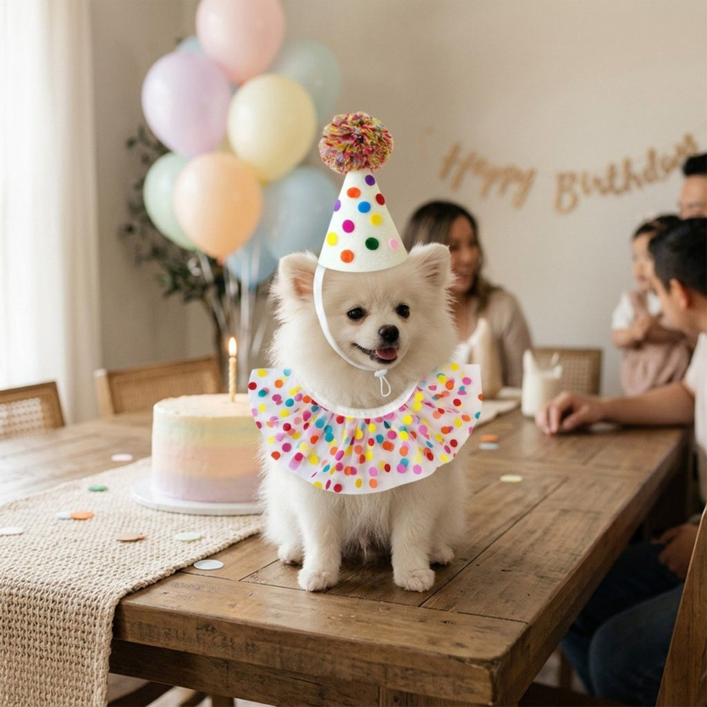 Pet Birthday Hat and Polka Dot Tulle Collar Set Colorful Party Costume Accessory