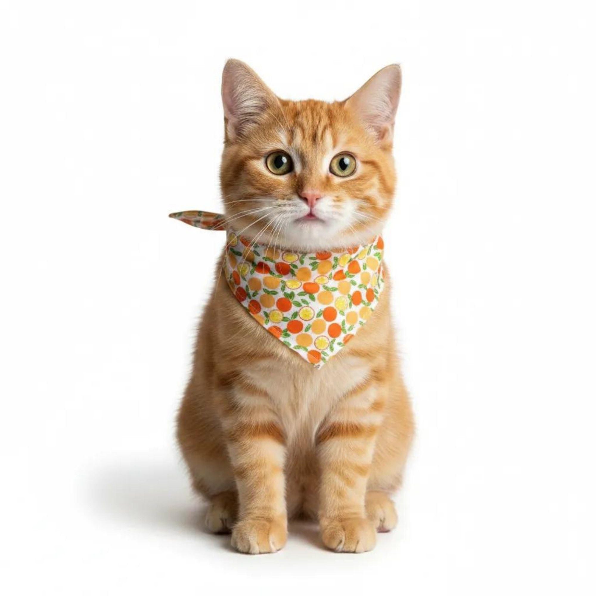 Fruit Print Pet Bandana, Soft Cotton Citrus Pattern Scarf Bib for Small Medium Dogs Cats