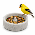 Pumice Bird Feeding & Grinding Bowl