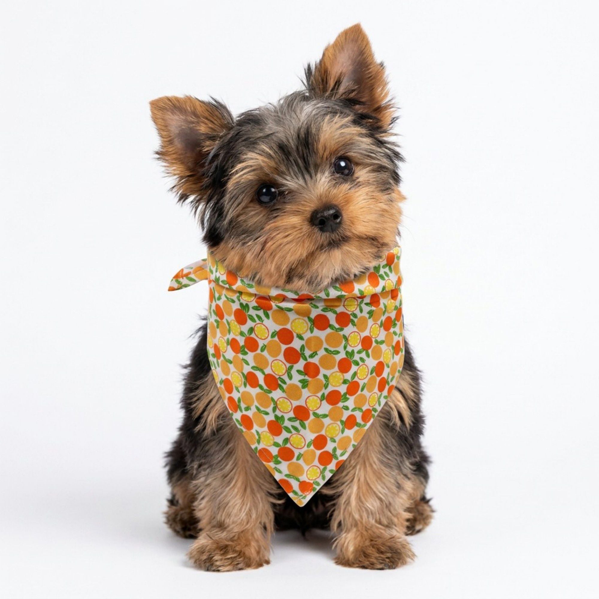 Fruit Print Pet Bandana, Soft Cotton Citrus Pattern Scarf Bib for Small Medium Dogs Cats